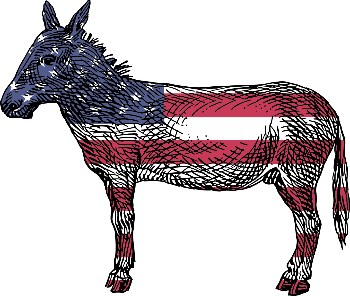 a horse with the american flag painted on it
