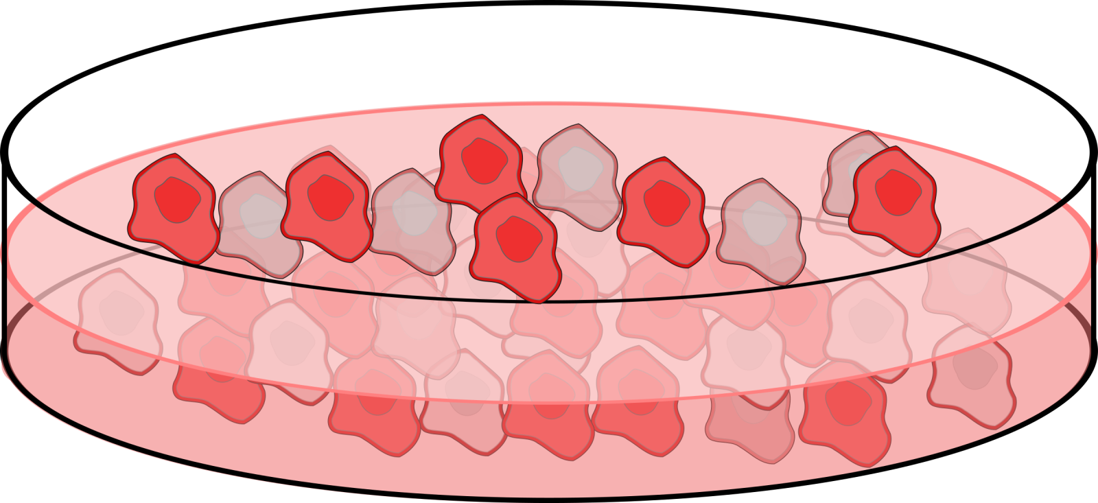 an illustration of a bowl full of blood