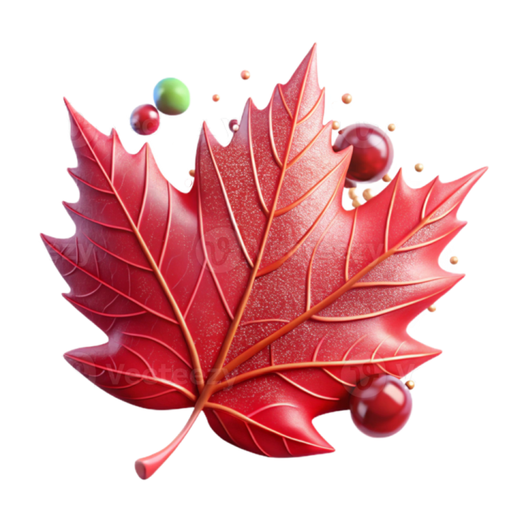 an image of a red maple leaf