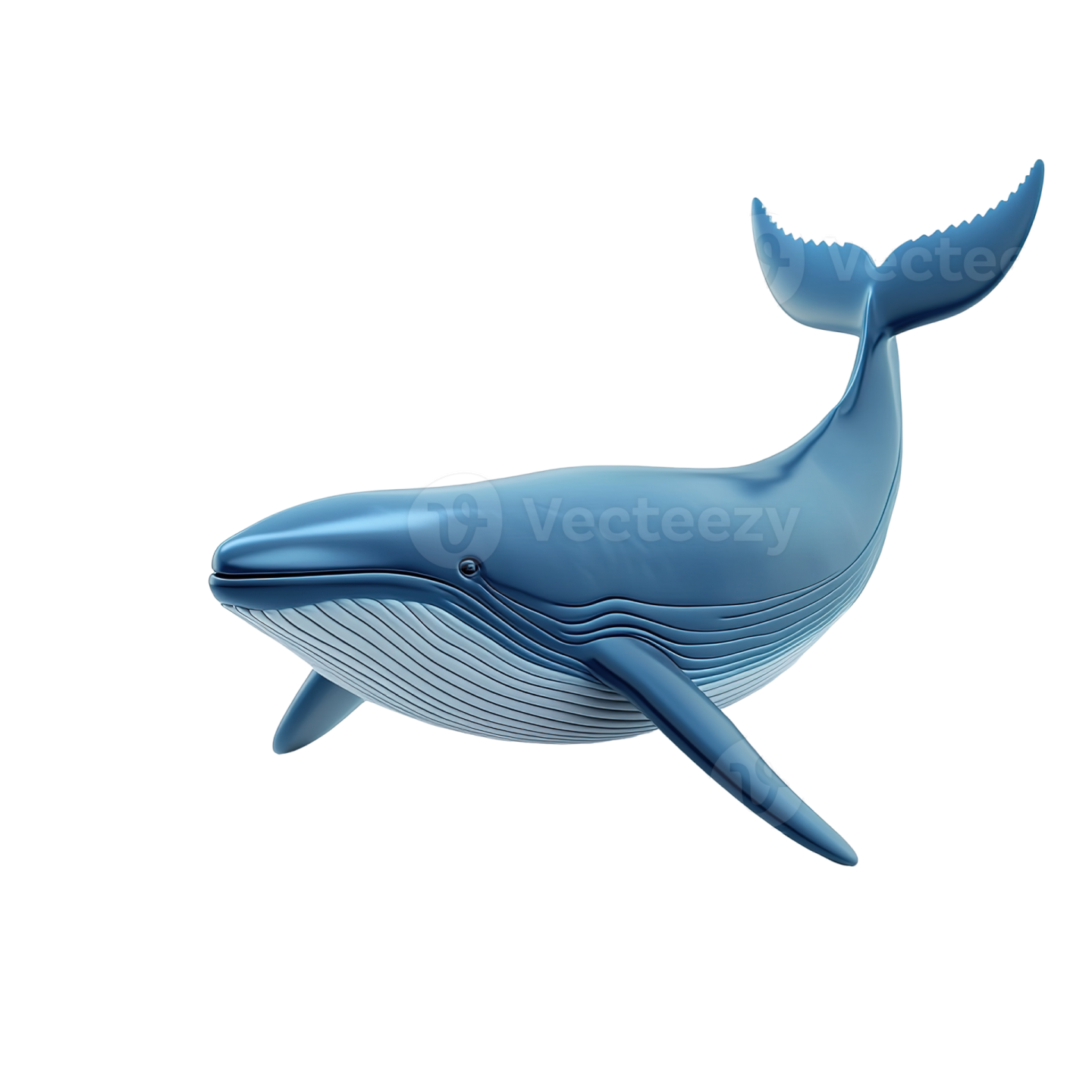 a blue whale on a white background