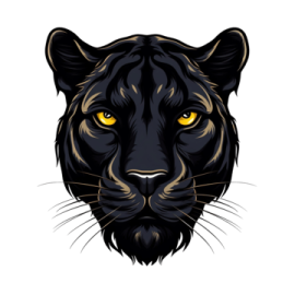 the head of a black panther
