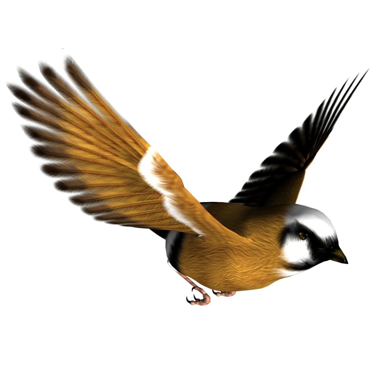 a bird that is flying in the air