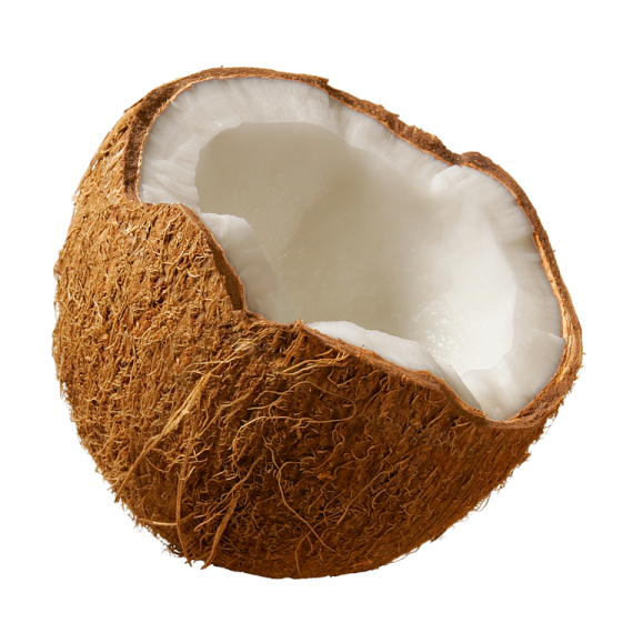 a half of a coconut on a white background
