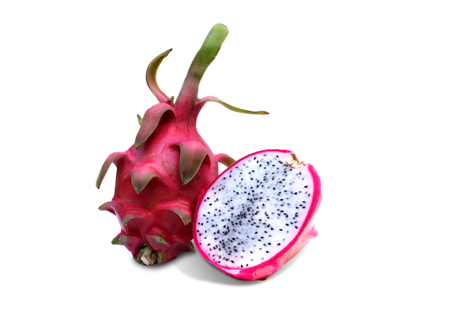 dragon fruit on a white background