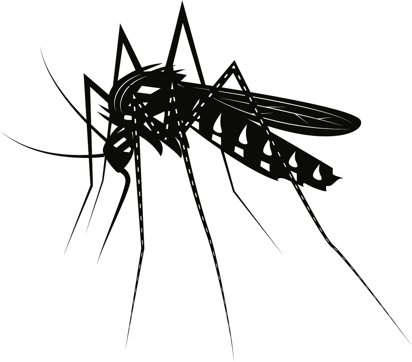 a mosquito silhouetted on a white background