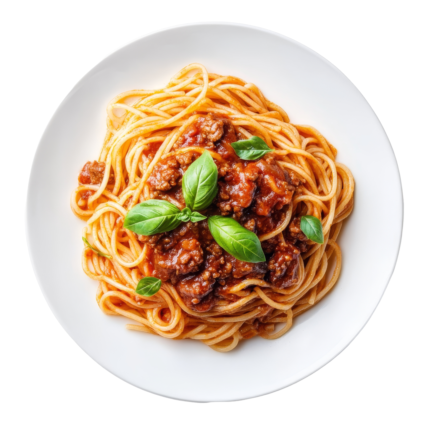 a plate of spaghetti with meat and tomato sauce