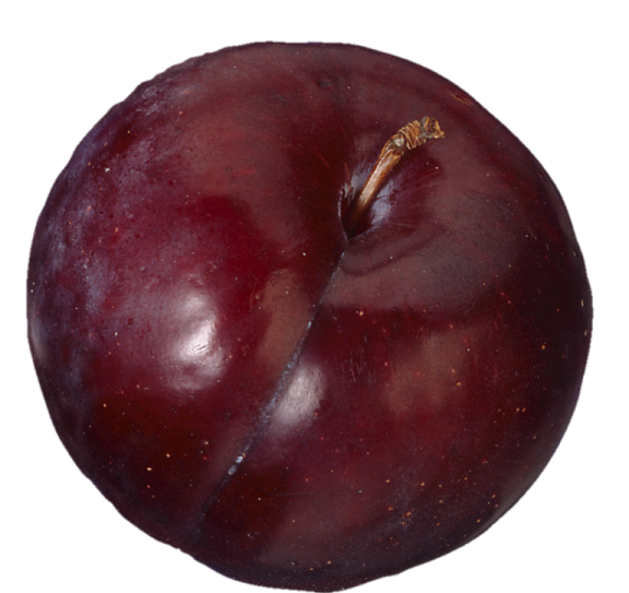 a red apple on a white background