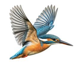 a bird flying with its wings spread out