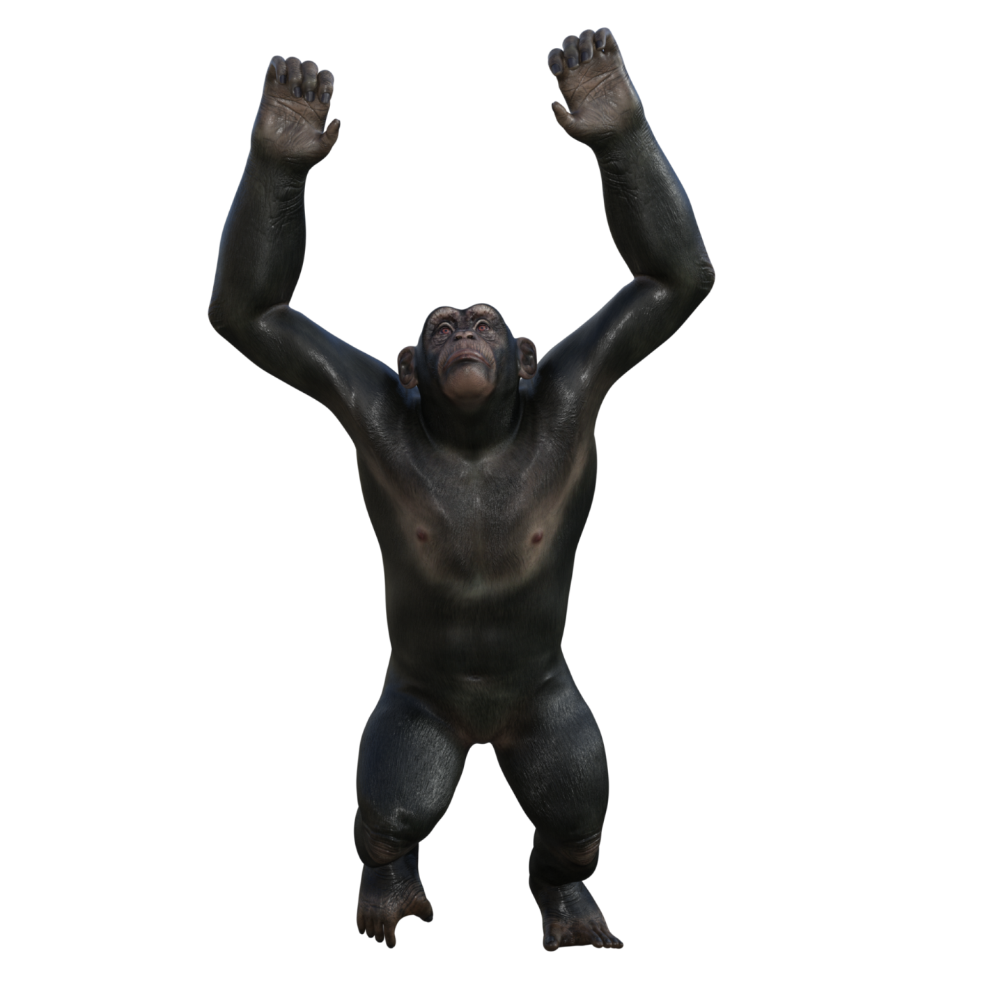 a gorilla standing in the air with his hands up