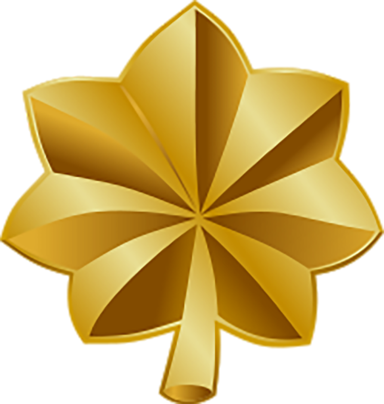 a gold leaf on a white background