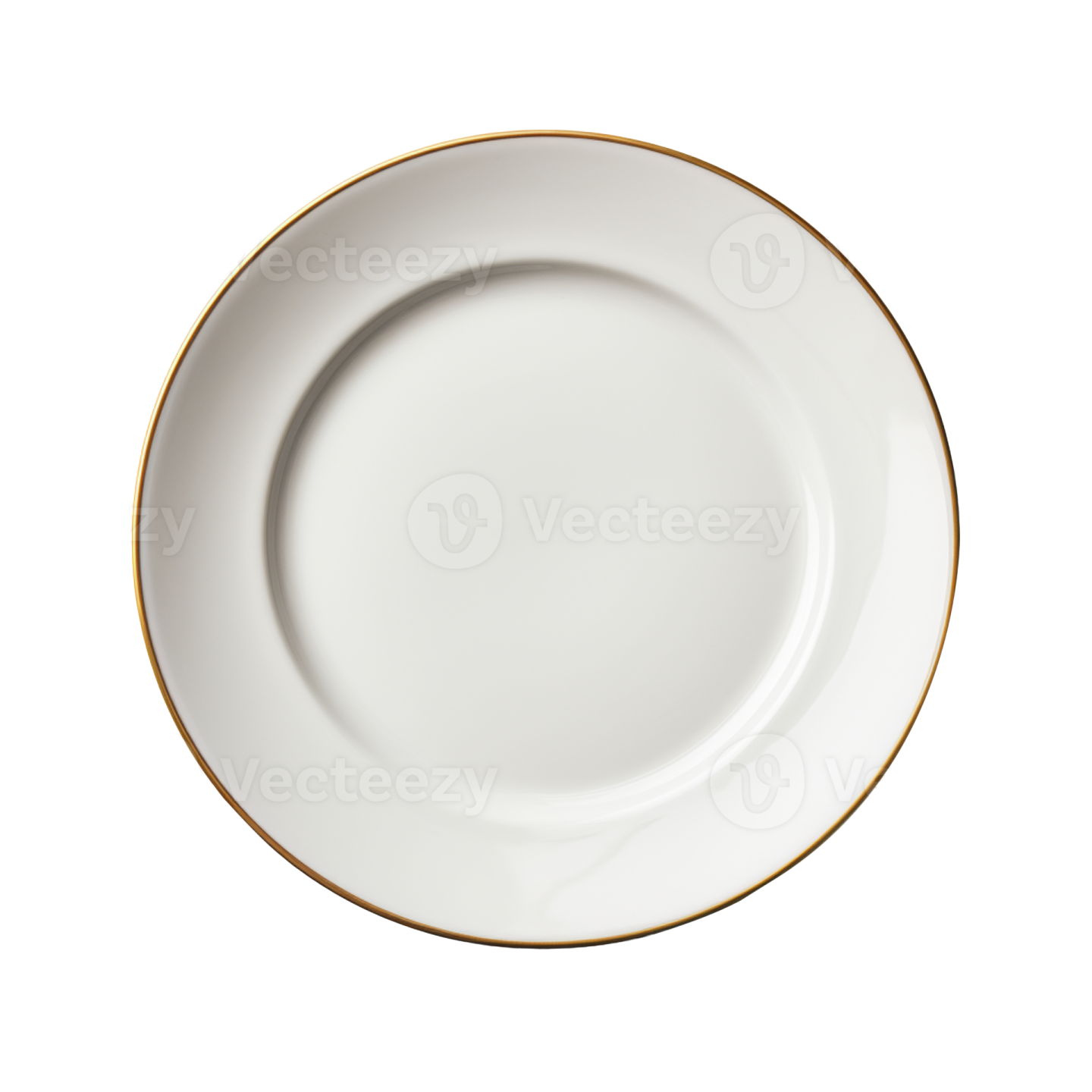 a white plate with gold rim