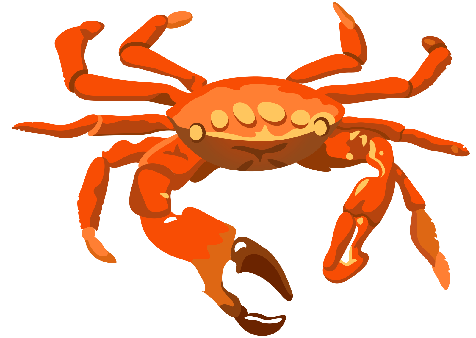 a cartoon crab on a white background