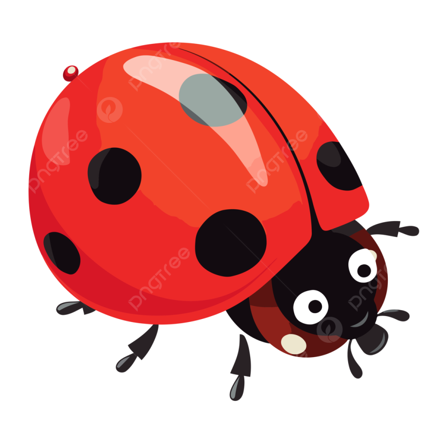 a ladybug with black spots on its back