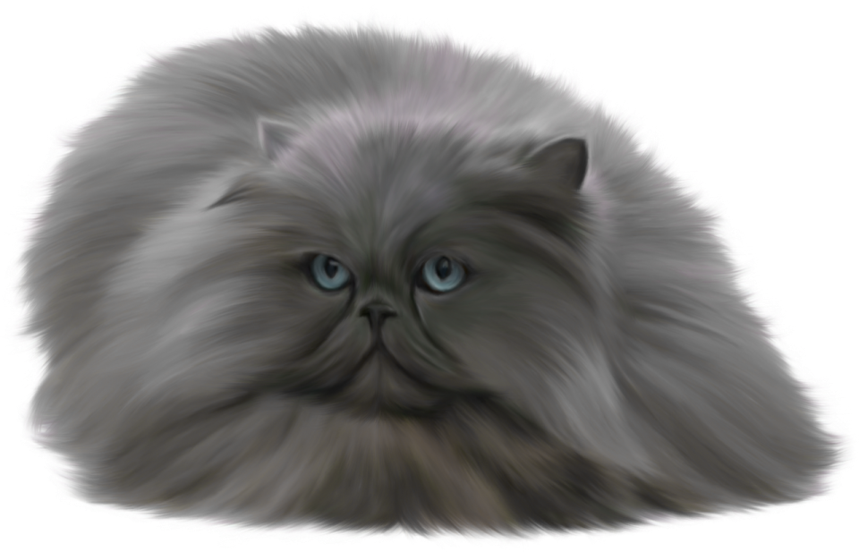 a drawing of a cat with blue eyes