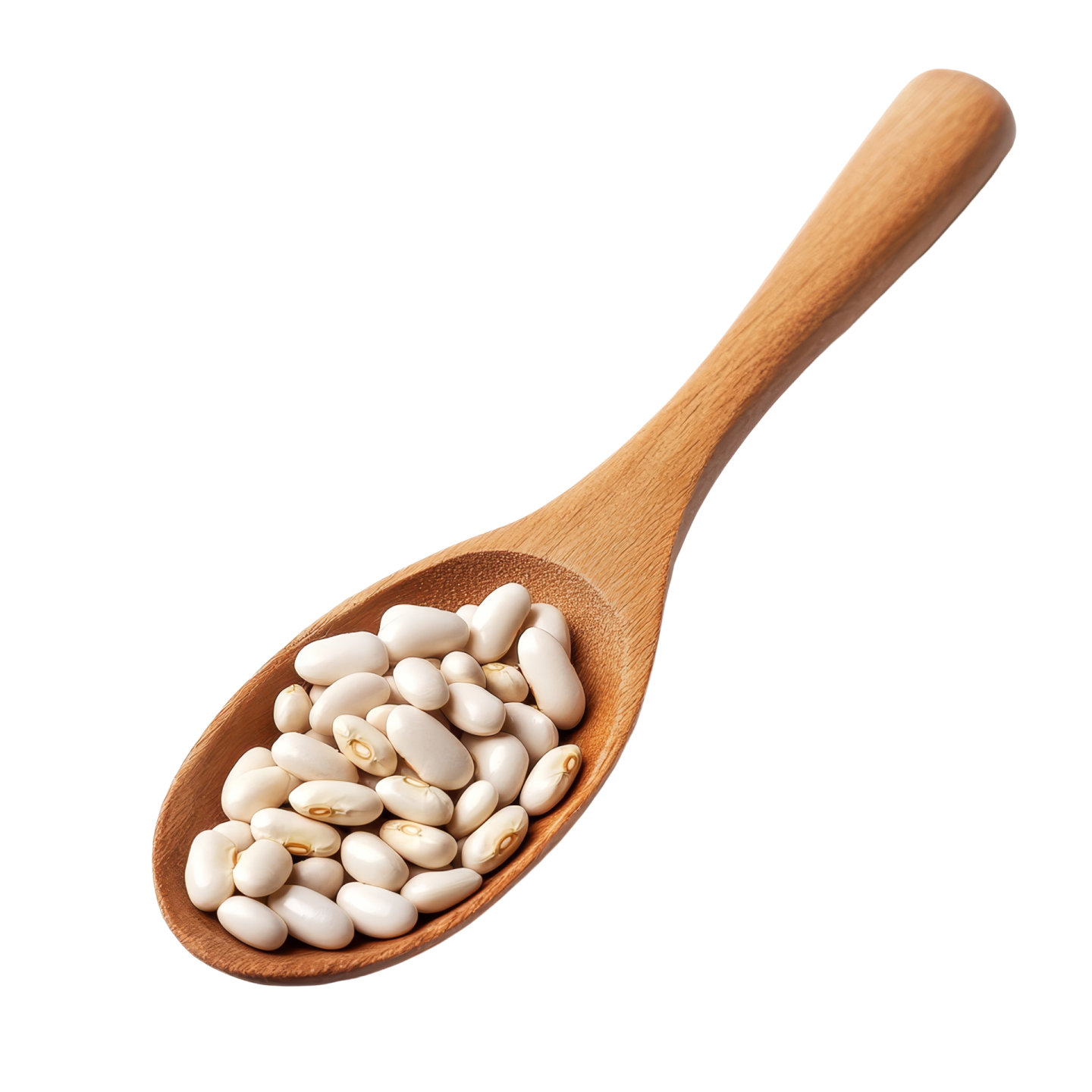 white beans in a wooden spoon on a white background
