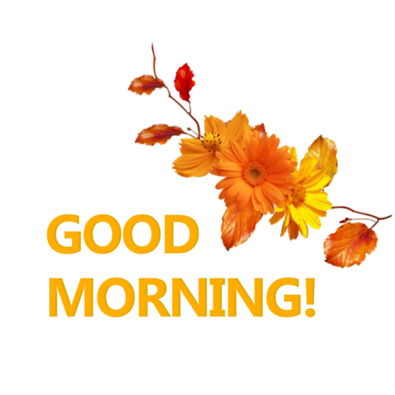 a flower with the words god morning on it