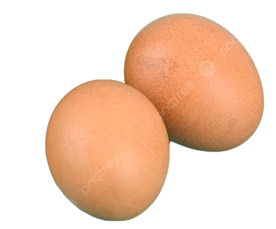 two eggs on a white background