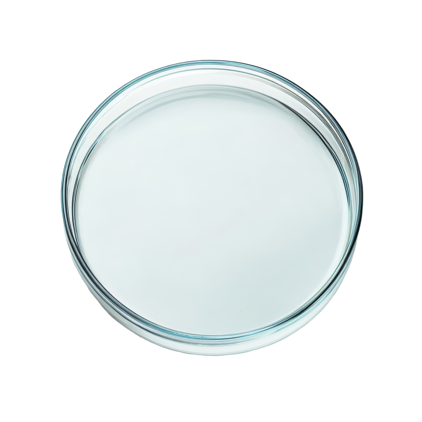 a glass plate on a white background