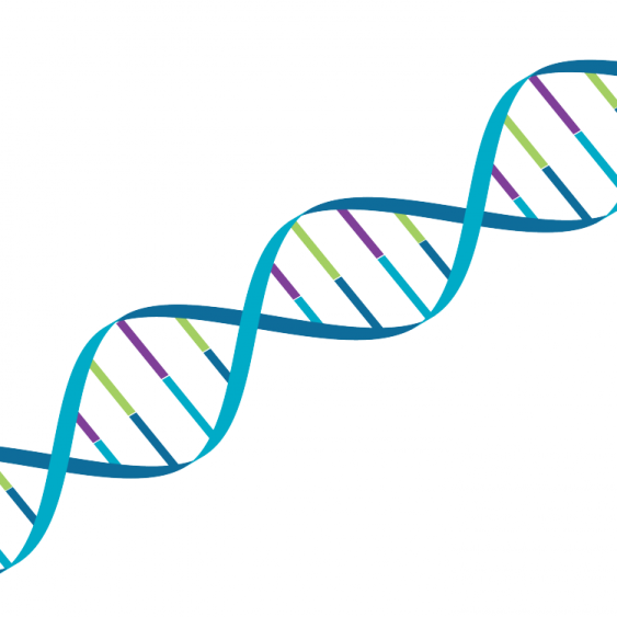 a blue and green dna strip
