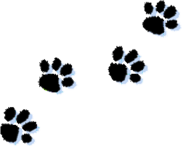 a black and white dog paw print on a white background