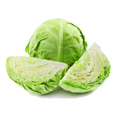 a head of cabbage on a white background