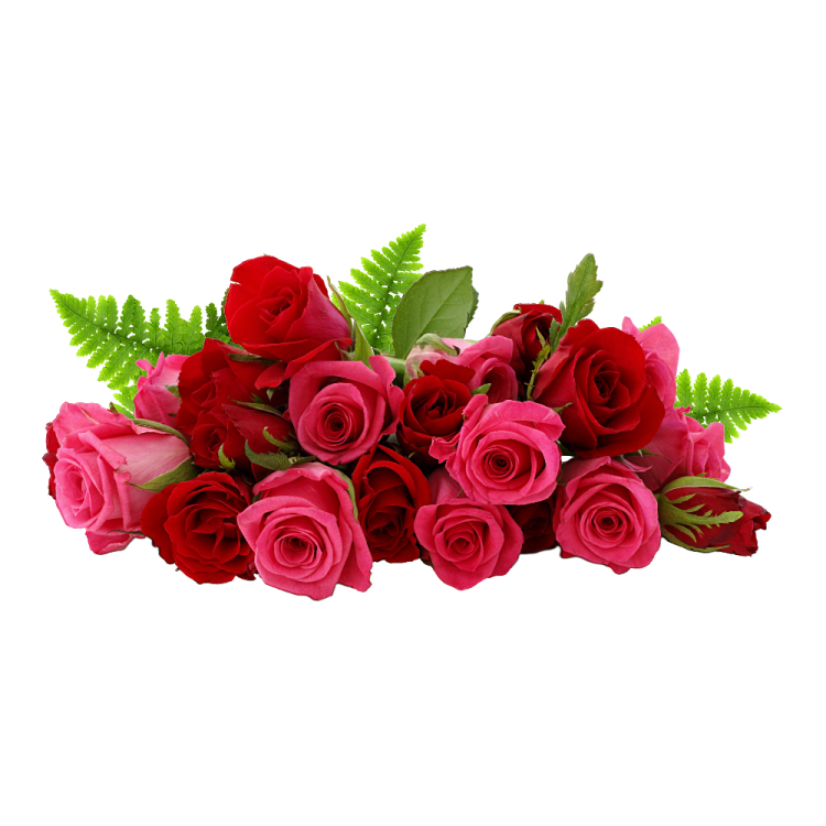 a bunch of red roses with green leaves