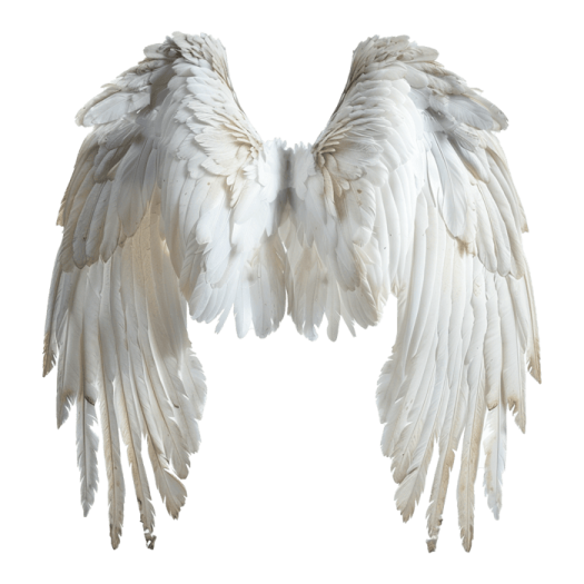 a pair of white wings