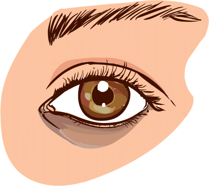 a woman's brown eye with long eyelashes