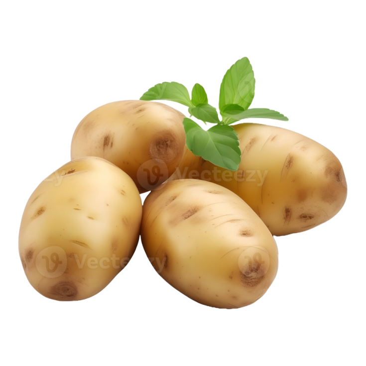 potatoes with leaves on white background