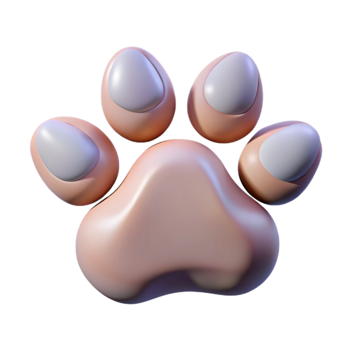 an animal paw on a white background