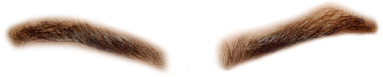 a pair of eyebrows on white background