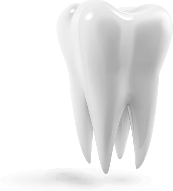 a tooth on a white background