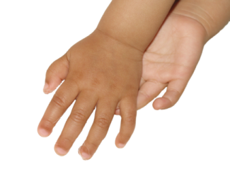 a small child's hand on a white background
