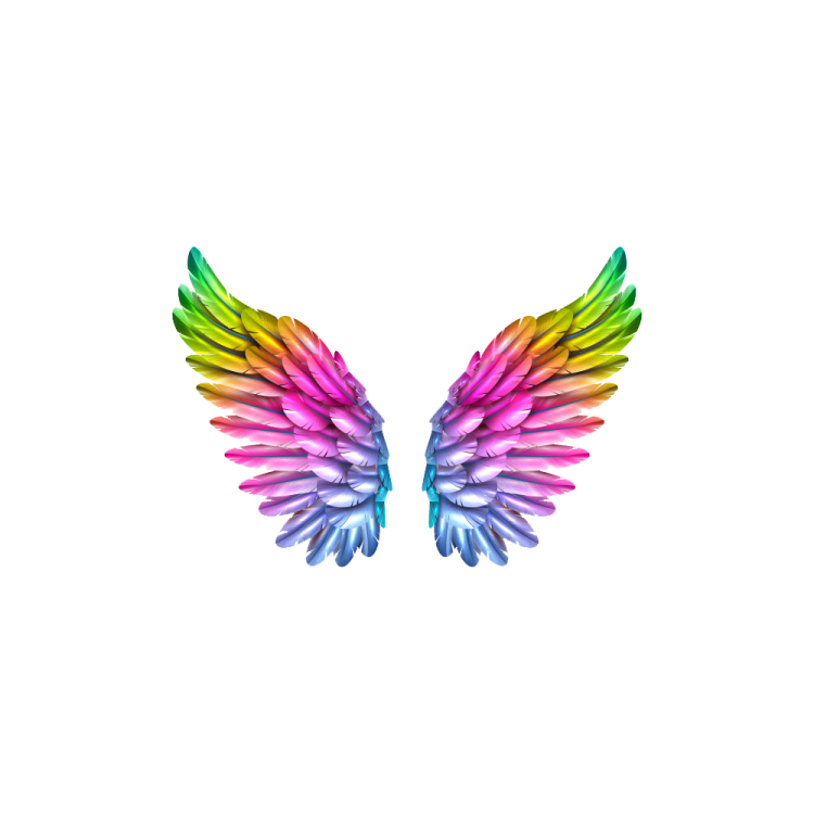 a rainbow colored wing on a white background