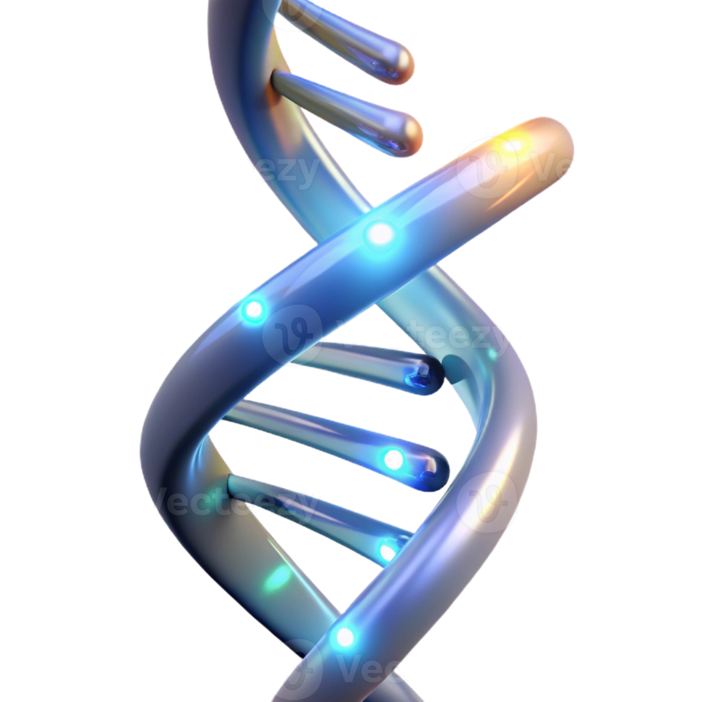 the structure of a dna molecule