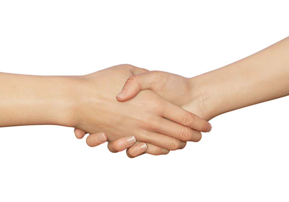 two people shaking hands on a white background