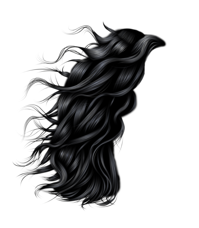 a drawing of a woman's head with long hair