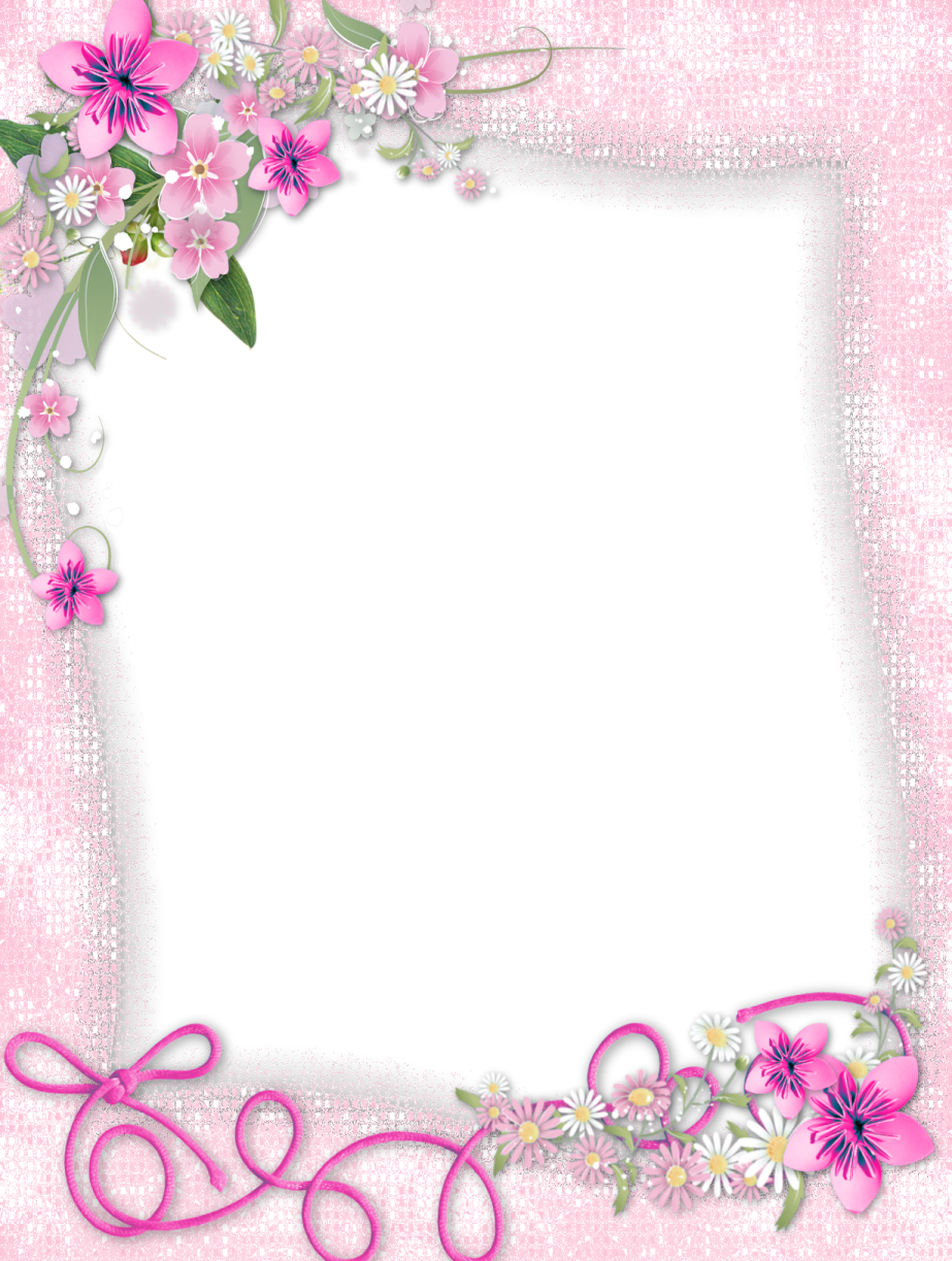 a frame with pink flowers and leaves on a white background