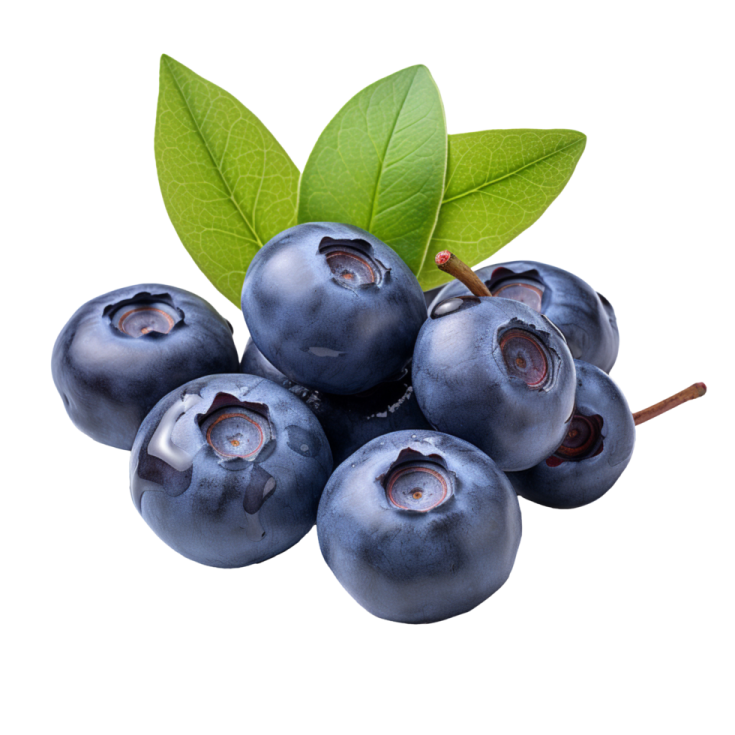 a bunch of blueberries with green leaves
