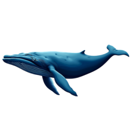 a blue whale swimming in the ocean
