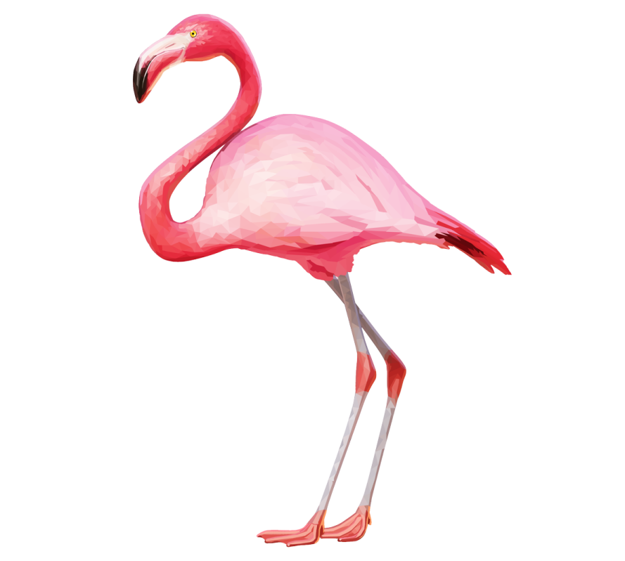 a pink flaming standing on its hinds