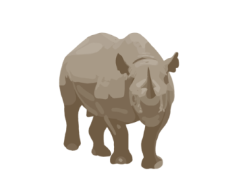 a rhino on a white background