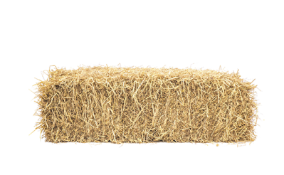 a roll of hay on a white background