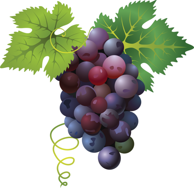 a bunch of grapes with green leaves