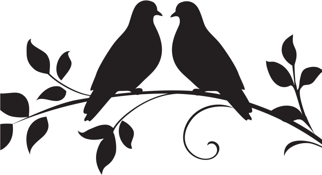 two birds sitting on a branch with leaves