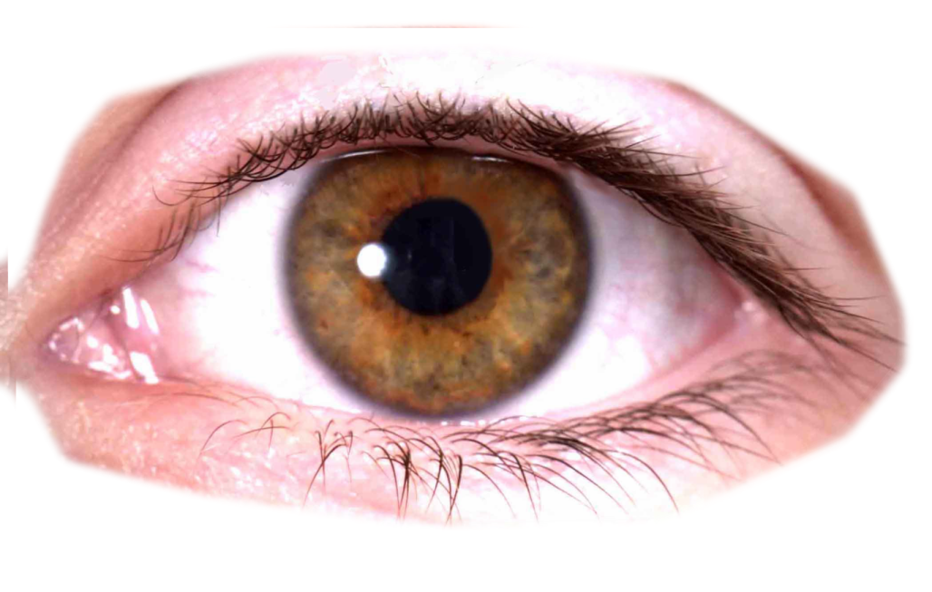 a close up view of an eye