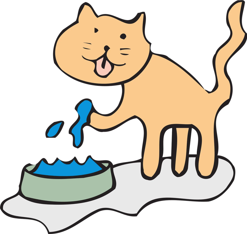 a cat drinking water from a bowl