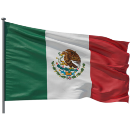 a mexican flag flying in the wind