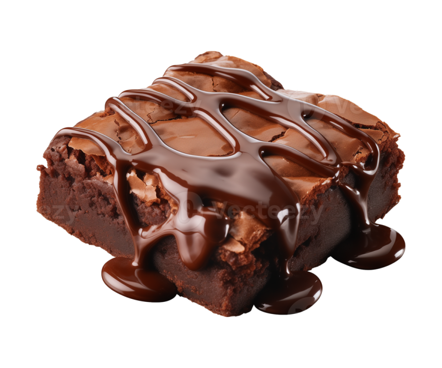 a chocolate brownie with melted chocolate on top