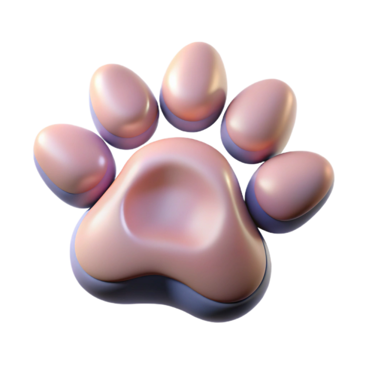 a dog's paw on a white background